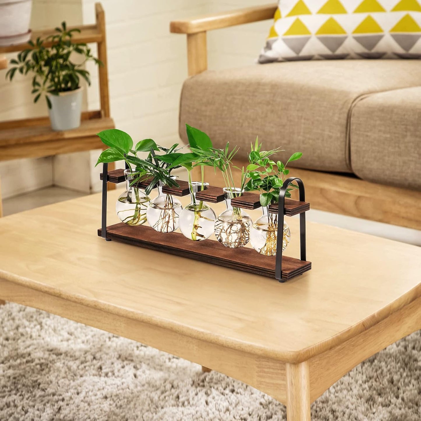 Stylish Plant Propagation Station with Wooden Stand - Retro Desktop Terrarium Bulb Display