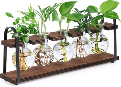 Stylish Plant Propagation Station with Wooden Stand - Retro Desktop Terrarium Bulb Display