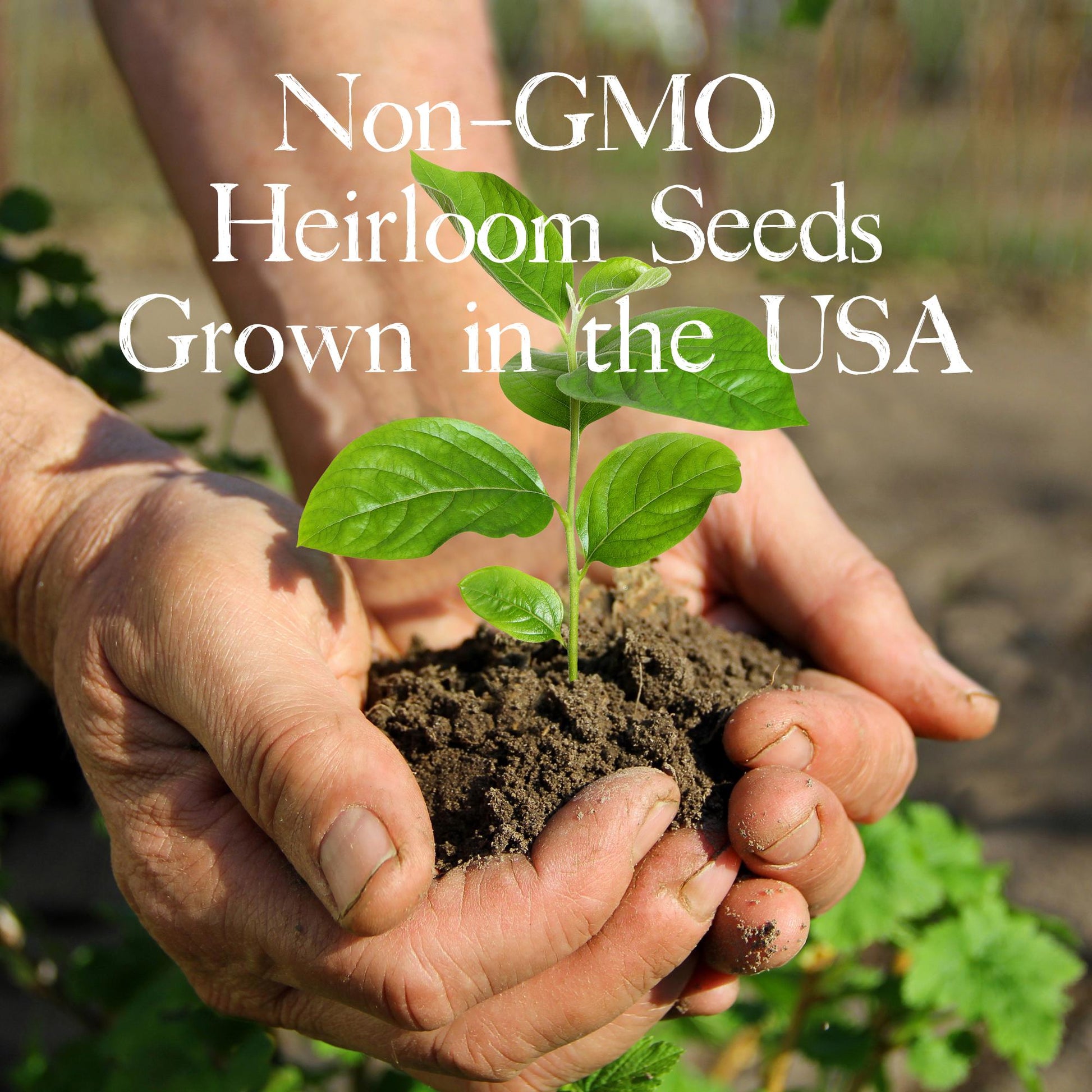 Ultimate Indoor Herb Garden Starter Kit: Grow Heirloom Basil, Cilantro, Parsley & Oregano at Home!