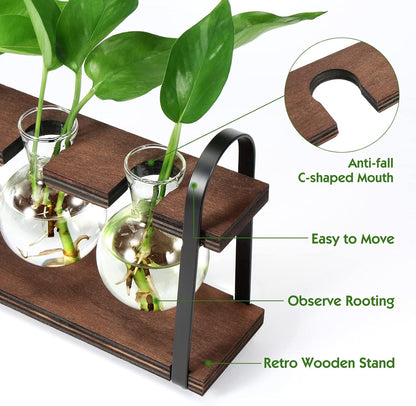 Stylish Plant Propagation Station with Wooden Stand - Retro Desktop Terrarium Bulb Display