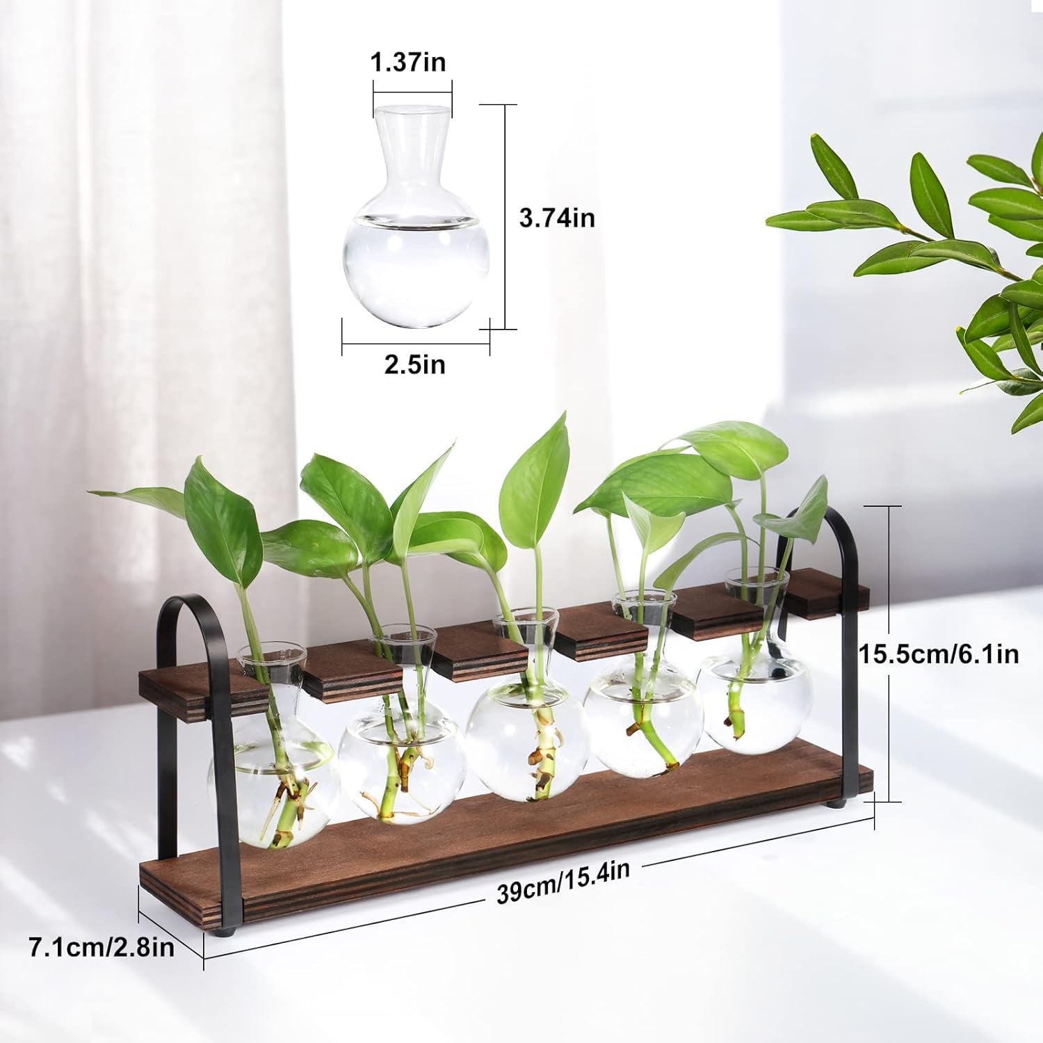 Stylish Plant Propagation Station with Wooden Stand - Retro Desktop Terrarium Bulb Display