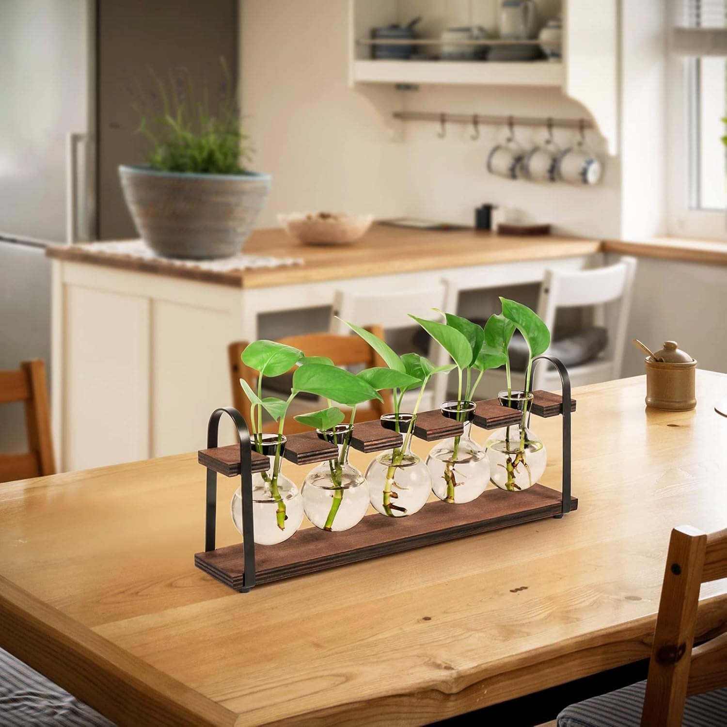Stylish Plant Propagation Station with Wooden Stand - Retro Desktop Terrarium Bulb Display