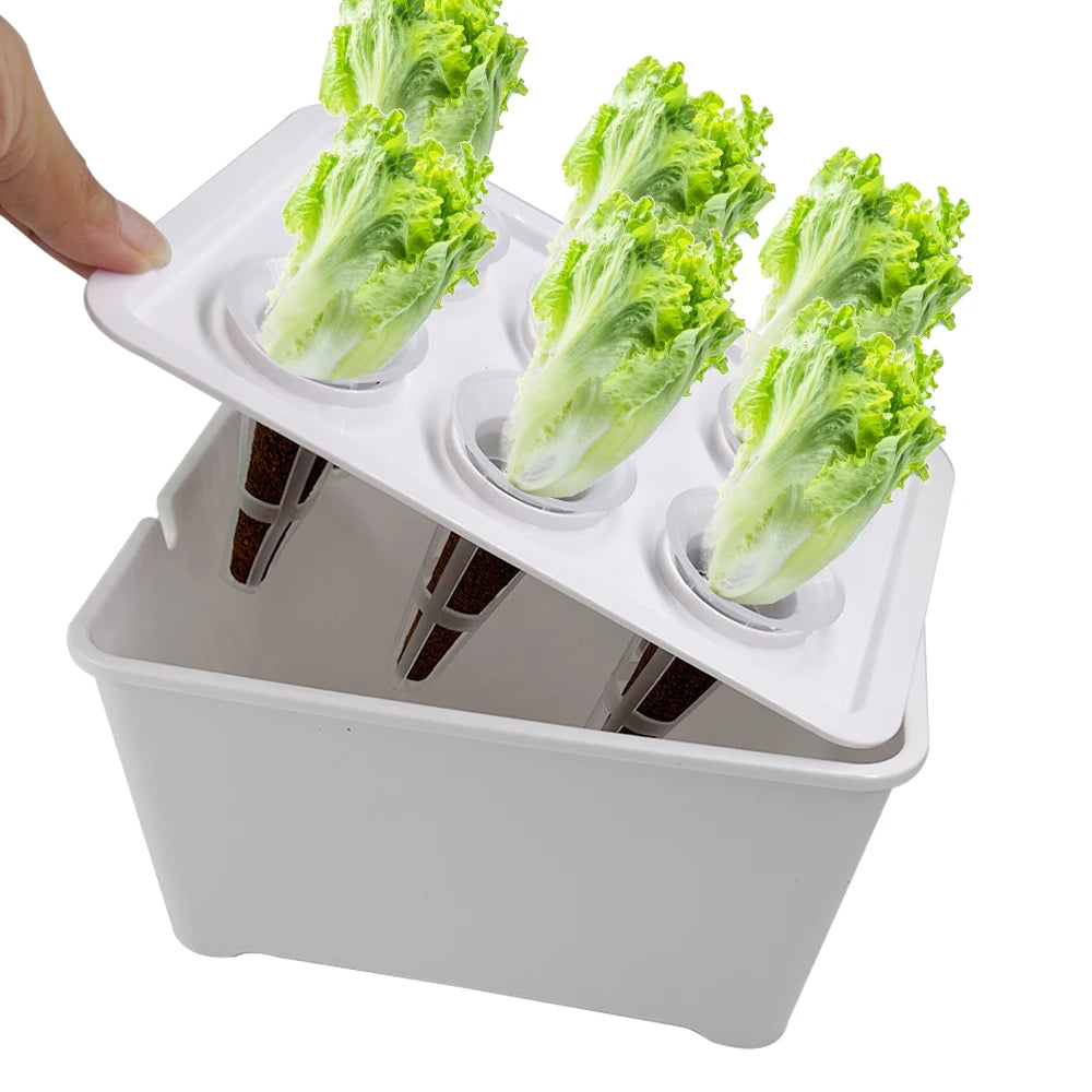 Universal Hydroponic Gardening Kit - 7" Indoor Nursery Pots for Vegetables and Plants