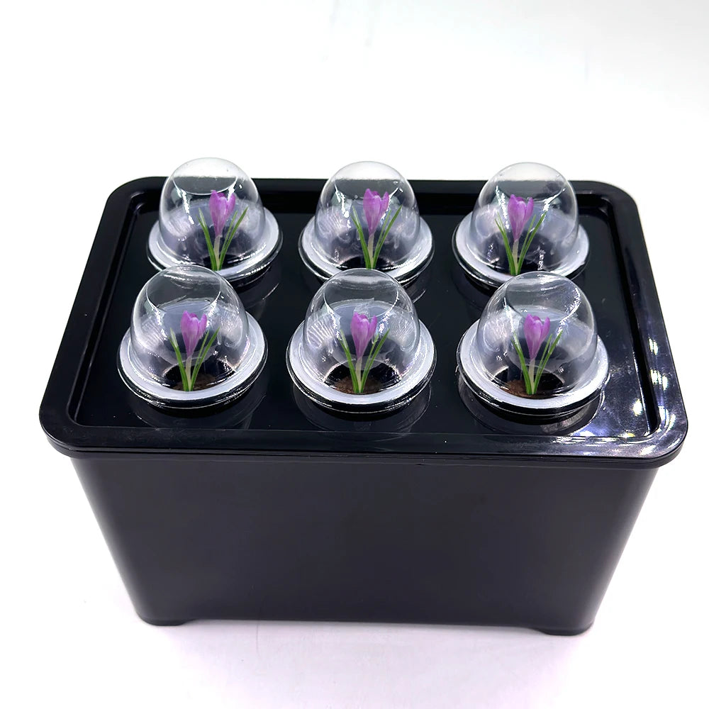 Universal Hydroponic Gardening Kit - 7" Indoor Nursery Pots for Vegetables and Plants