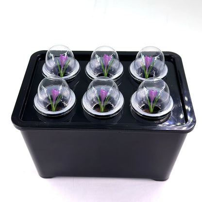 Universal Hydroponic Gardening Kit - 7" Indoor Nursery Pots for Vegetables and Plants