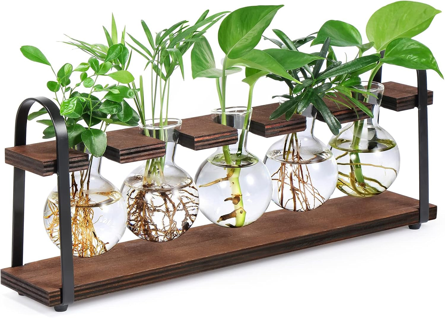 Stylish Plant Propagation Station with Wooden Stand - Retro Desktop Terrarium Bulb Display