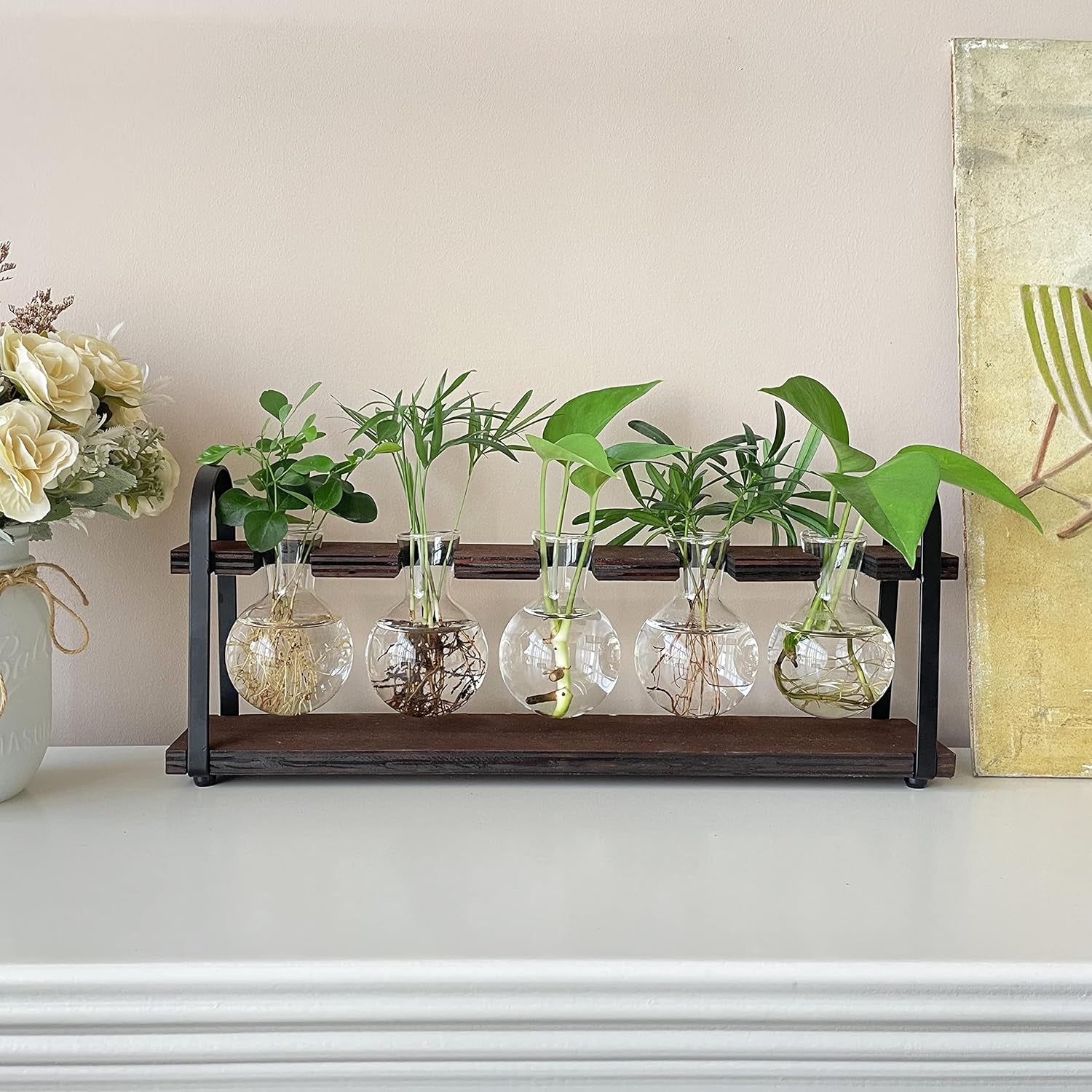 Stylish Plant Propagation Station with Wooden Stand - Retro Desktop Terrarium Bulb Display